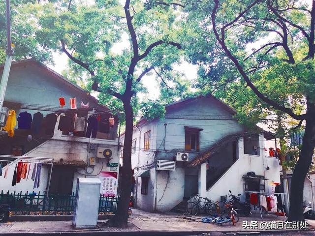 探寻上海旧时光，杨浦区复兴岛