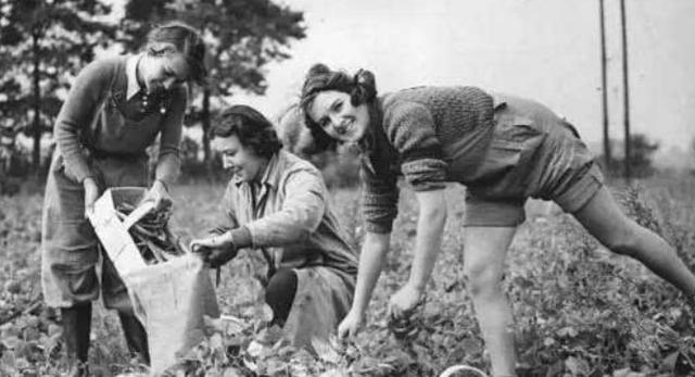 二战时期美国大兵与德国女人偷情成笑柄，管不住下半身后果很严重